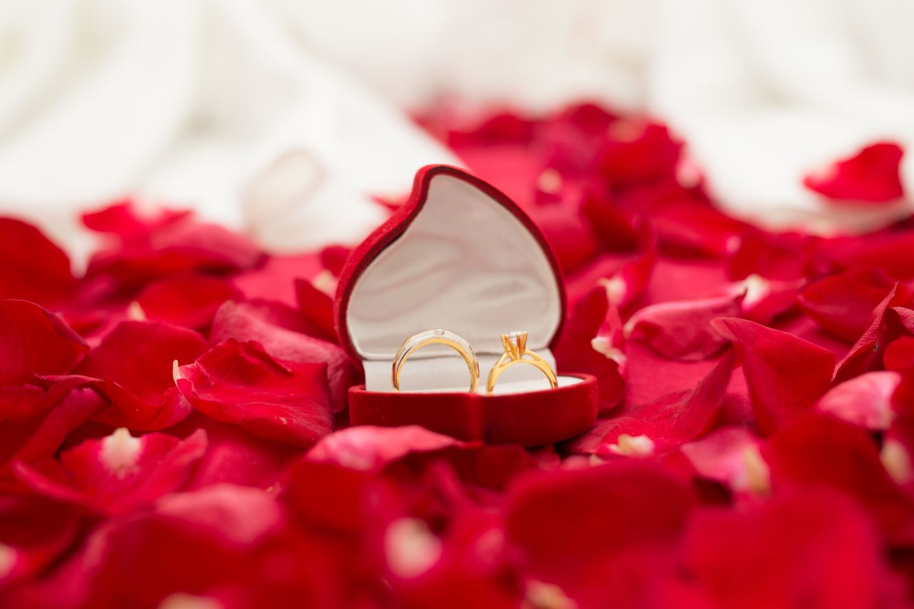 A pair of elegant wedding rings in a red velvet box surrounded by red rose petals, symbolizing romance and love.